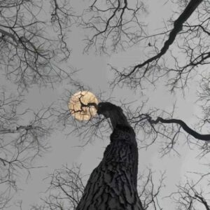 دانلود آهنگ آره هنوزم دارم گردنبندو هنوزم میخوام که برگردی